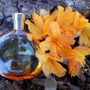 eau de merveilles fragrantica