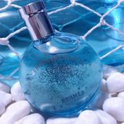 hermes eau des merveilles bleu