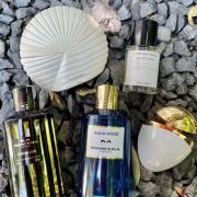 The King of Tester - 💧🌊MANCERA - AQUA WOOD 🌊💧 Perfume brilhante e  atraente de verão Notas de topo: frutas cítricas e pêra suculenta, Notas de  coração: rosa, raiz de gengibre indiana