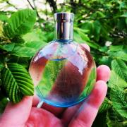 eau de merveilles fragrantica