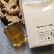 comme des garcons 2 fragrantica