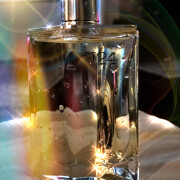 h24 fragrantica