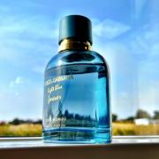 Light Blue Forever Pour Homme Dolce & Gabbana Eau de Parfum Masculino