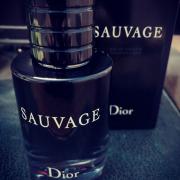 زقاق الكل عذراء  Sauvage Dior ماء كولونيا - a fragrance للرجال 2015