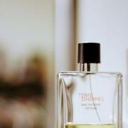 hermes eau intense vetiver fragrantica