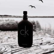 CK be Calvin Klein parfum - un parfum pour homme et femme 1996