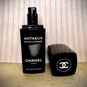 Antaeus Chanel Cologne - un parfum pour homme 1981
