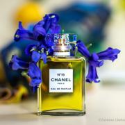 Chanel No 19 Poudre Chanel عطر - a fragrance للنساء 2011