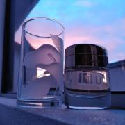 cartier baiser volé fraîche