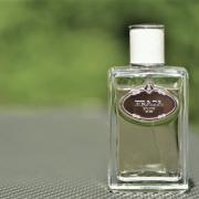prada infusion fragrantica