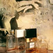 Allure Chanel عطر - a fragrance للنساء 1996