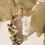 un jardin sur le toit eau de toilette spray