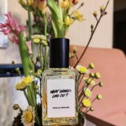 What Would Love Do Lush - una fragranza unisex 2016