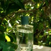 zara vibrant summer