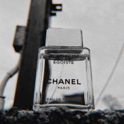  CHANEL Egoiste Platinum EDT Spray 3.4 Oz : Everything Else