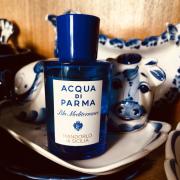 ACQUA DI PARMA BLU MEDITERRANEO FICO DI AMALFI Spray tester 4.0oz/120ml NEW