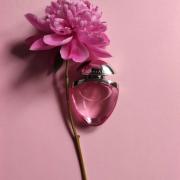 Bvlgari pink sapphire clearance fragrantica