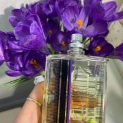 Molecule 01 + Black Tea Escentric Molecules Rivenditore – Alla Violetta  Boutique