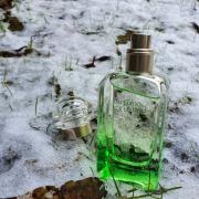 un jardin sur le toit eau de toilette spray