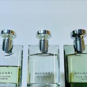 Bvlgari extreme fragrantica best sale