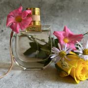 NOMADE Chloé · precio - Perfumes Club