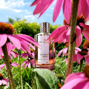 Comprar instant crush 🥇 【 desde 1.29 € 】 | Mr Perfume