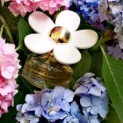 Därför behöver du inte köpa Louis Vuittons parfymer - Daisy Beauty