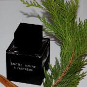 encre noire extreme fragrantica