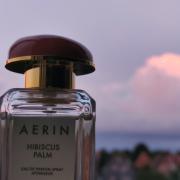 Hibiscus Palm Aerin Lauder 2017