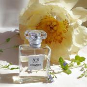 Chanel No 5 L&#039;Eau Eau De Toilette 100th Anniversary – Ask For The  Moon Limited Edition Chanel аромат — аромат для женщин 2021