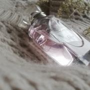 les creations de monsieur dior forever and ever