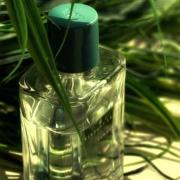 zara vibrant summer