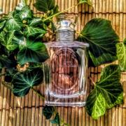 les creations de monsieur dior forever and ever