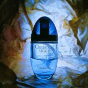Obsession Night Edp 100ml Calvin Klein Perfume Feminino