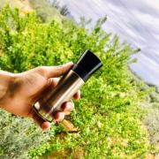 armani code absolu