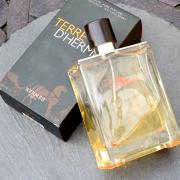 terre hermes fragrantica