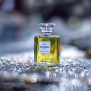 Buy No. 19 by Chanel for Women, Eau De Parfum Spray, 3.4 Ounce
