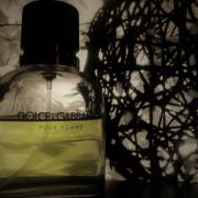 dg pour homme fragrantica