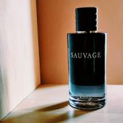 نلتقي اضف إليه Frail  Sauvage Dior ماء كولونيا - a fragrance للرجال 2015