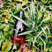 fahrenheit absolute fragrantica