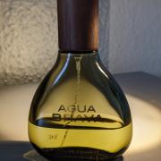 Agua Brava Antonio Puig cologne - een geur voor heren 1968