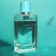 zara vibrant leather summer