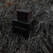 encre noire extreme fragrantica