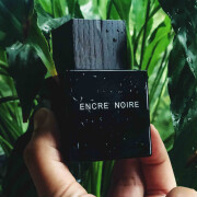encre noire extreme fragrantica