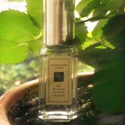 Fig & Lotus Flower Jo Malone London عطر - a fragrance