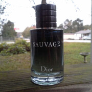 kicks dior sauvage