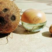 dkny coconuts about summer