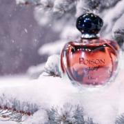 Gladys in de rij gaan staan Auroch Poison Girl Dior perfume - a fragrance for women 2016