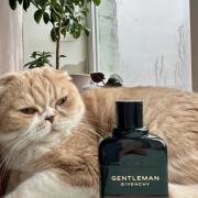 Debenhams givenchy gentleman best sale