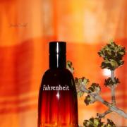 fragrantica dior fahrenheit